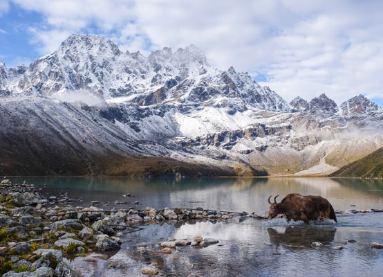 Everest Panorama Trek