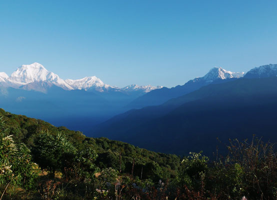 Poon Hill Trek